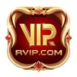 All Slots App